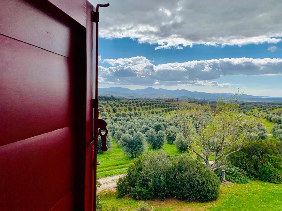 Willa Tenuta Agricola Fraschiera Massa Marittima Zewnętrze zdjęcie