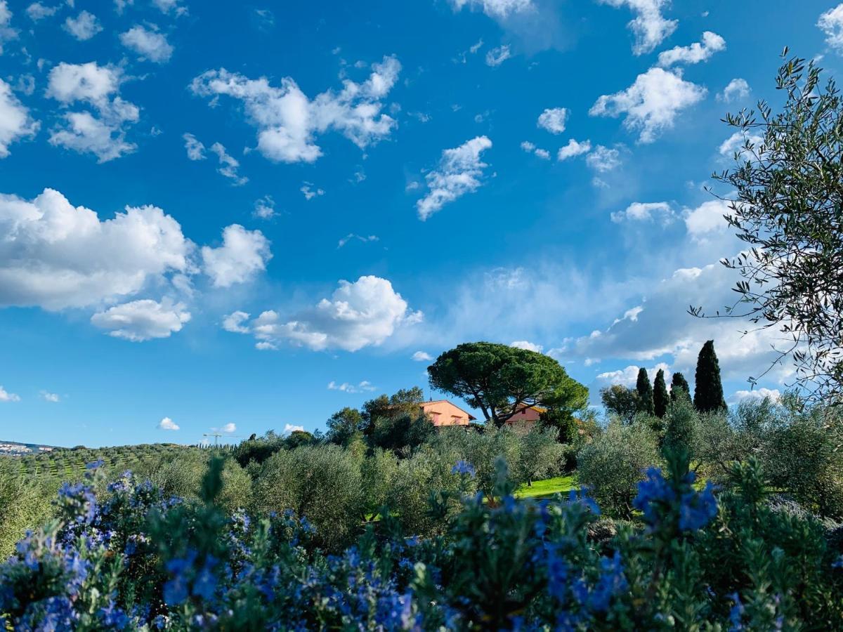 Willa Tenuta Agricola Fraschiera Massa Marittima Zewnętrze zdjęcie