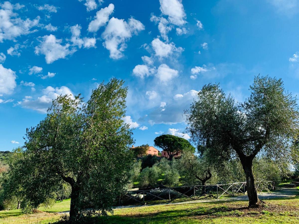 Willa Tenuta Agricola Fraschiera Massa Marittima Zewnętrze zdjęcie